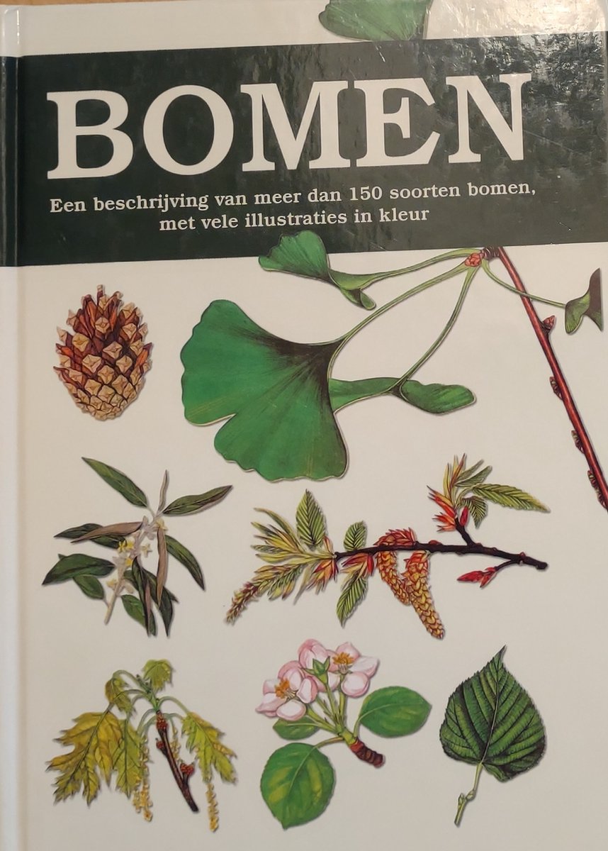 J. Pokorny Bomen - Natuurgids thumbnail