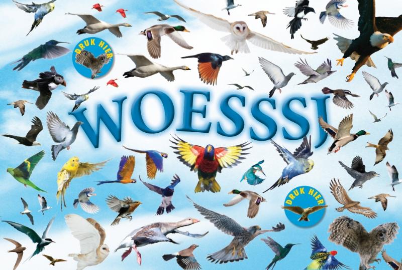 Woesssj