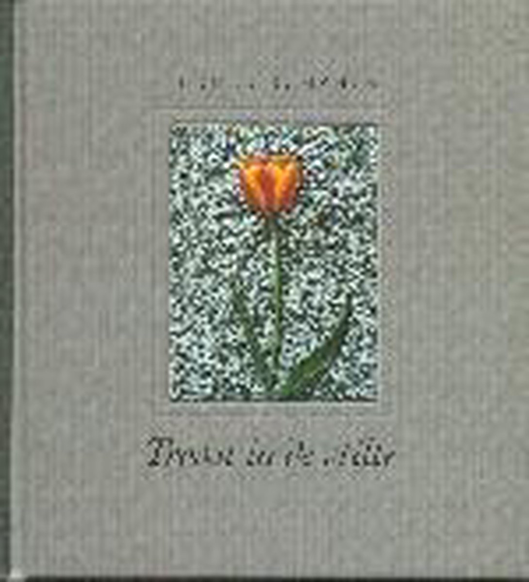 TROOST IN DE STILTE