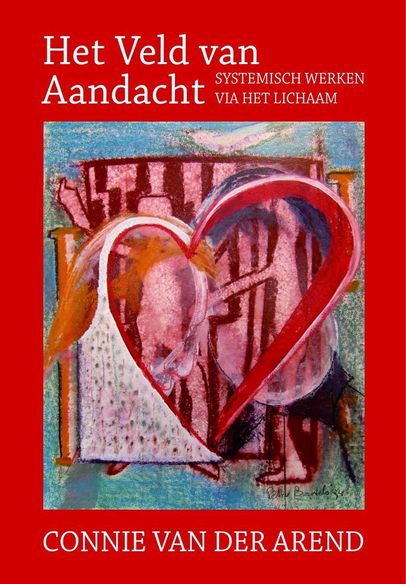 boekenbalie_9789090298009_cover Het Veld van Aandacht, systhemisch werk via het lichaam