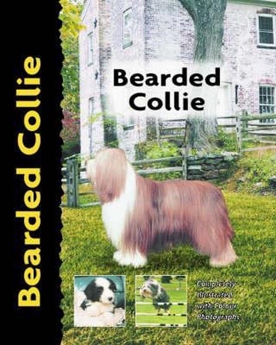 Bearded Collie