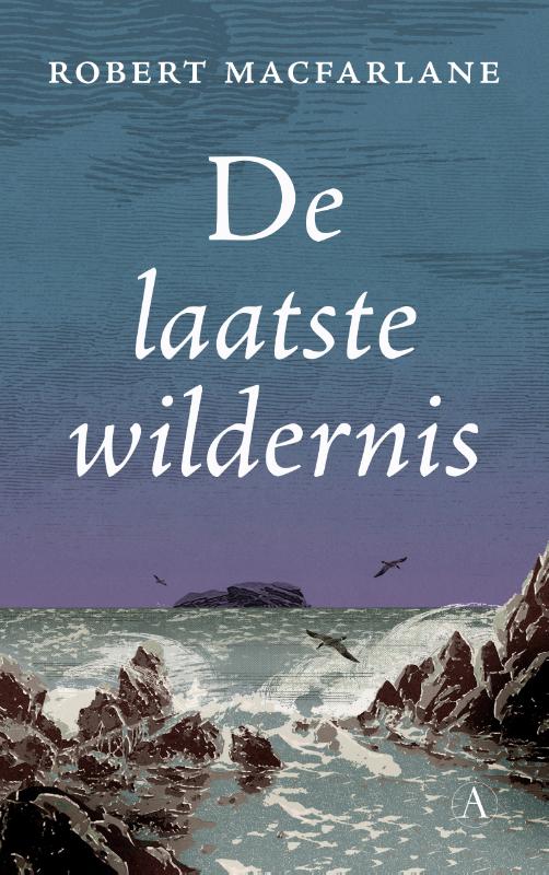 De laatste wildernis