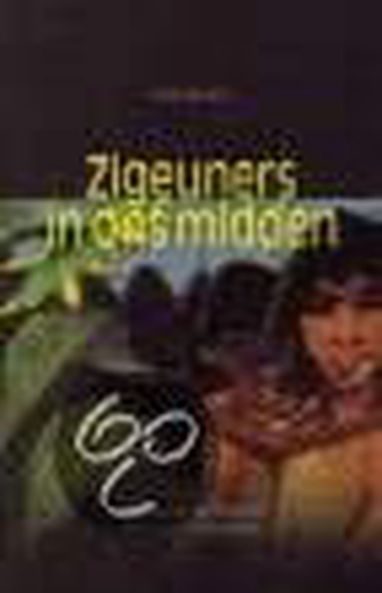 boekenbalie_9789055732067_cover Zigeuners In Ons Midden