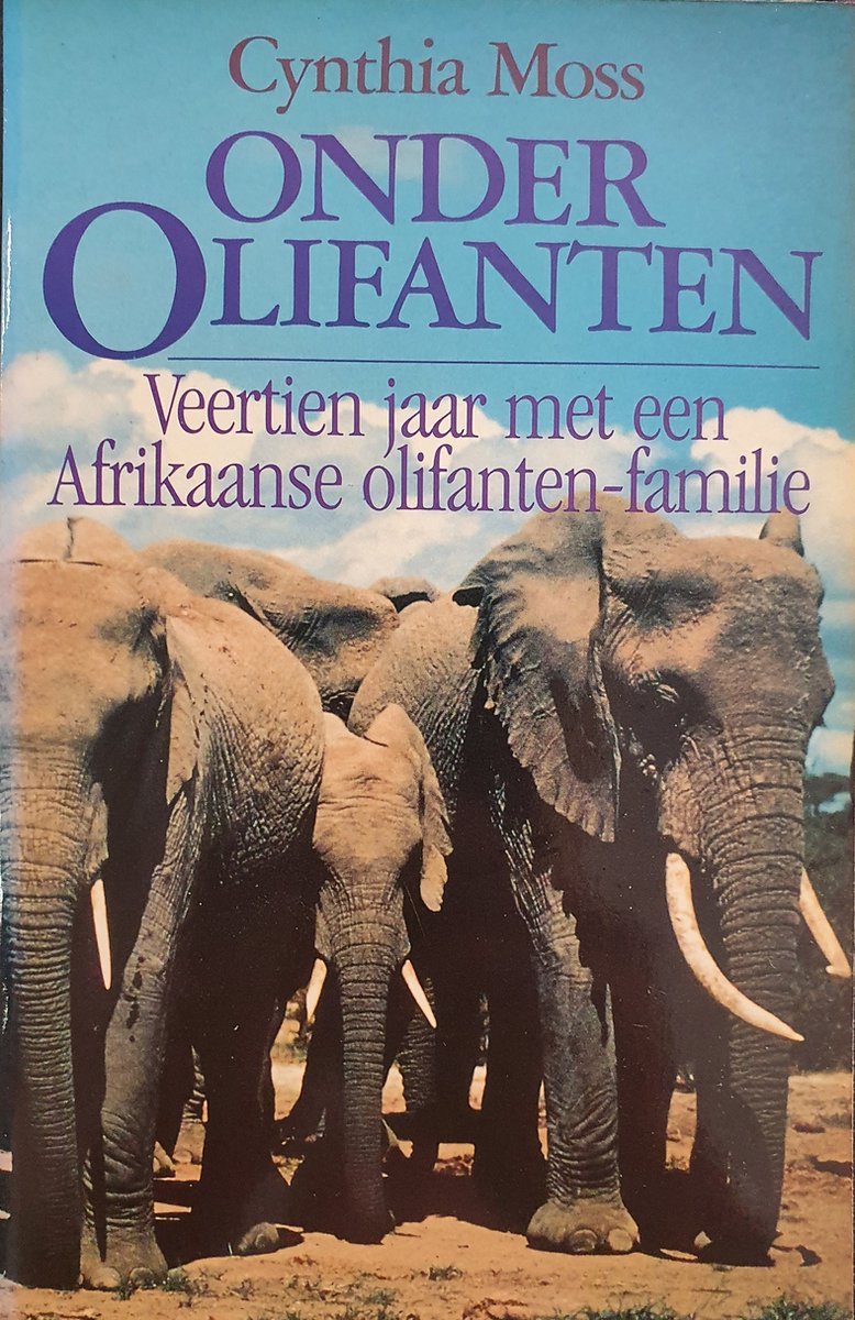 Onder olifanten
