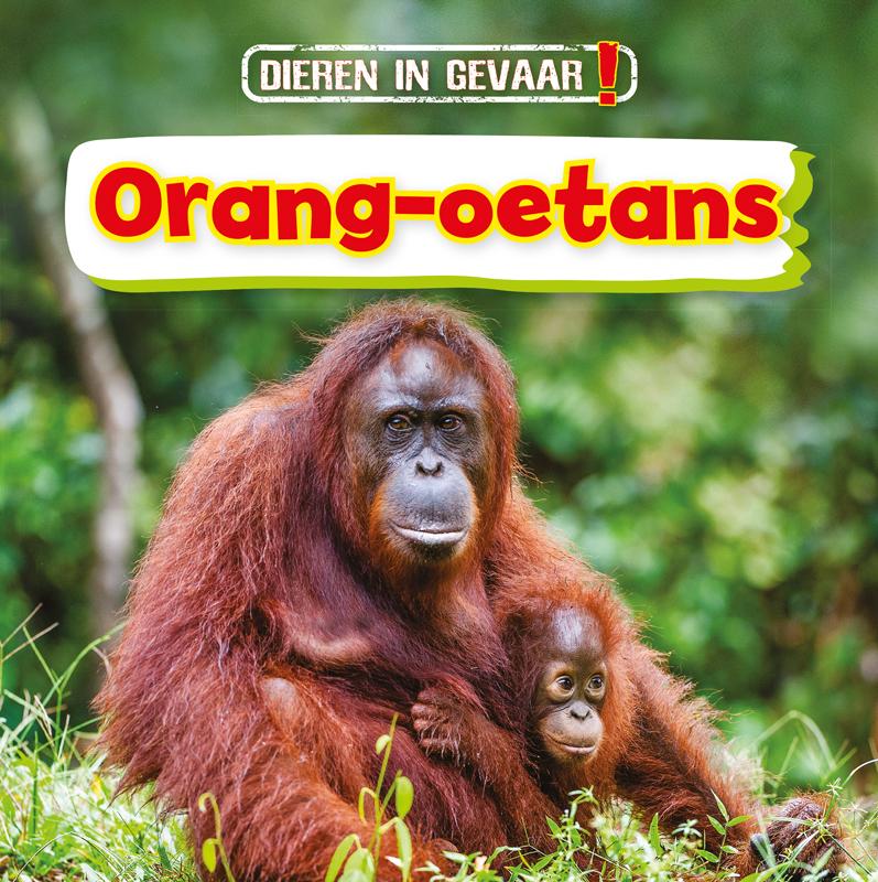 Orang-oetans / Dieren in gevaar!