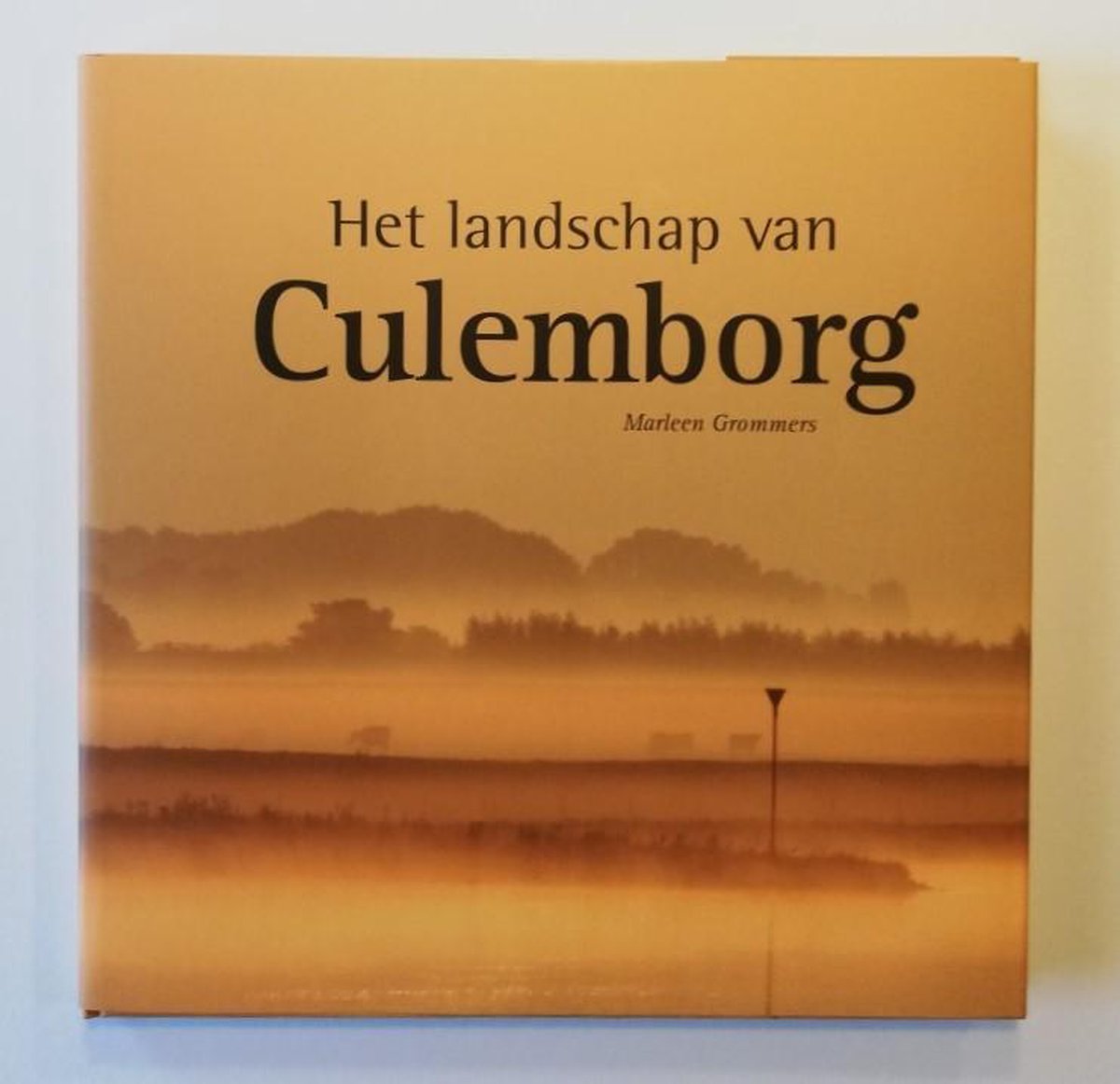 Het landschap van Culemborg