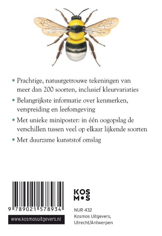 Compactgids Insecten / Compactgidsen natuur achterkant