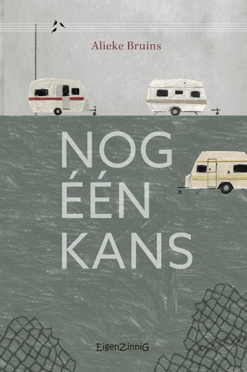 boekenbalie_9789463900362_cover Nog één kans