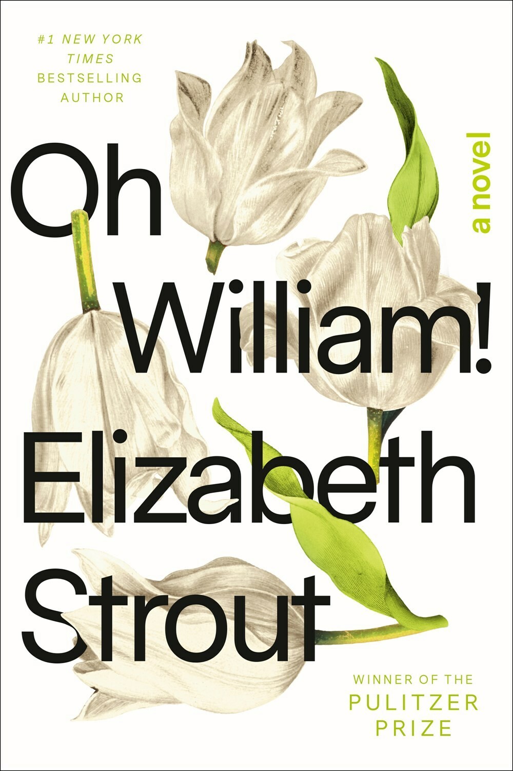 Oh William! / Amgash / 3