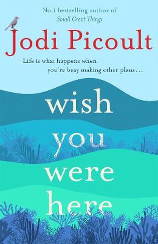 Jodi Picoult Wish You Were Here