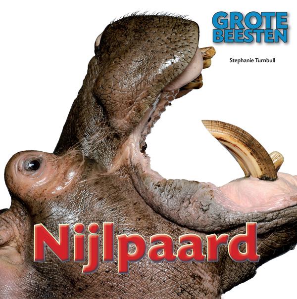 Nijlpaard / Grote Beesten