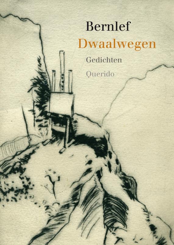 boekenbalie_9789021434551_cover Dwaalwegen
