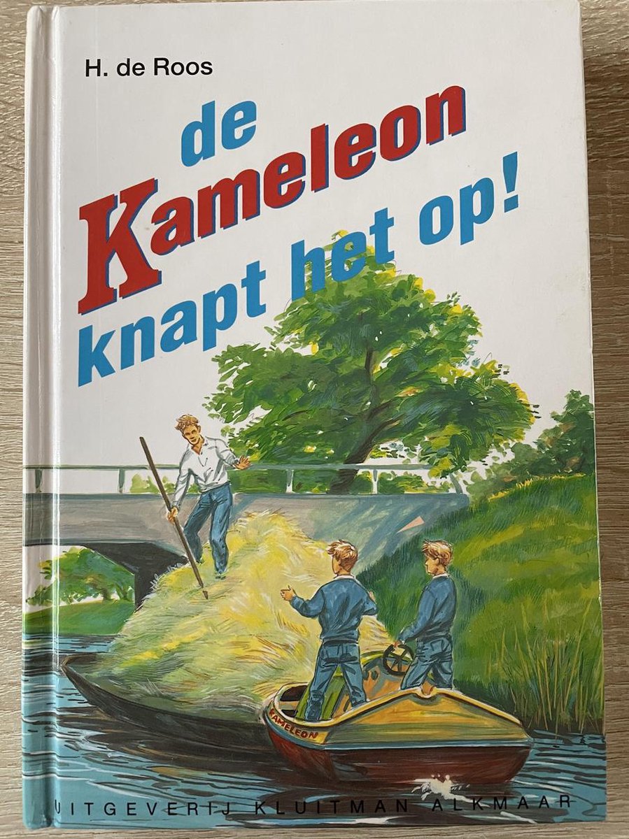 boekenbalie_9789020666502_cover De Kameleon knapt het op! / Kameleonboeken / 50