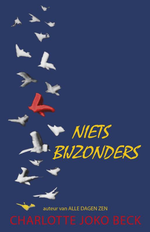 Joko Beck Niets Bijzonders thumbnail