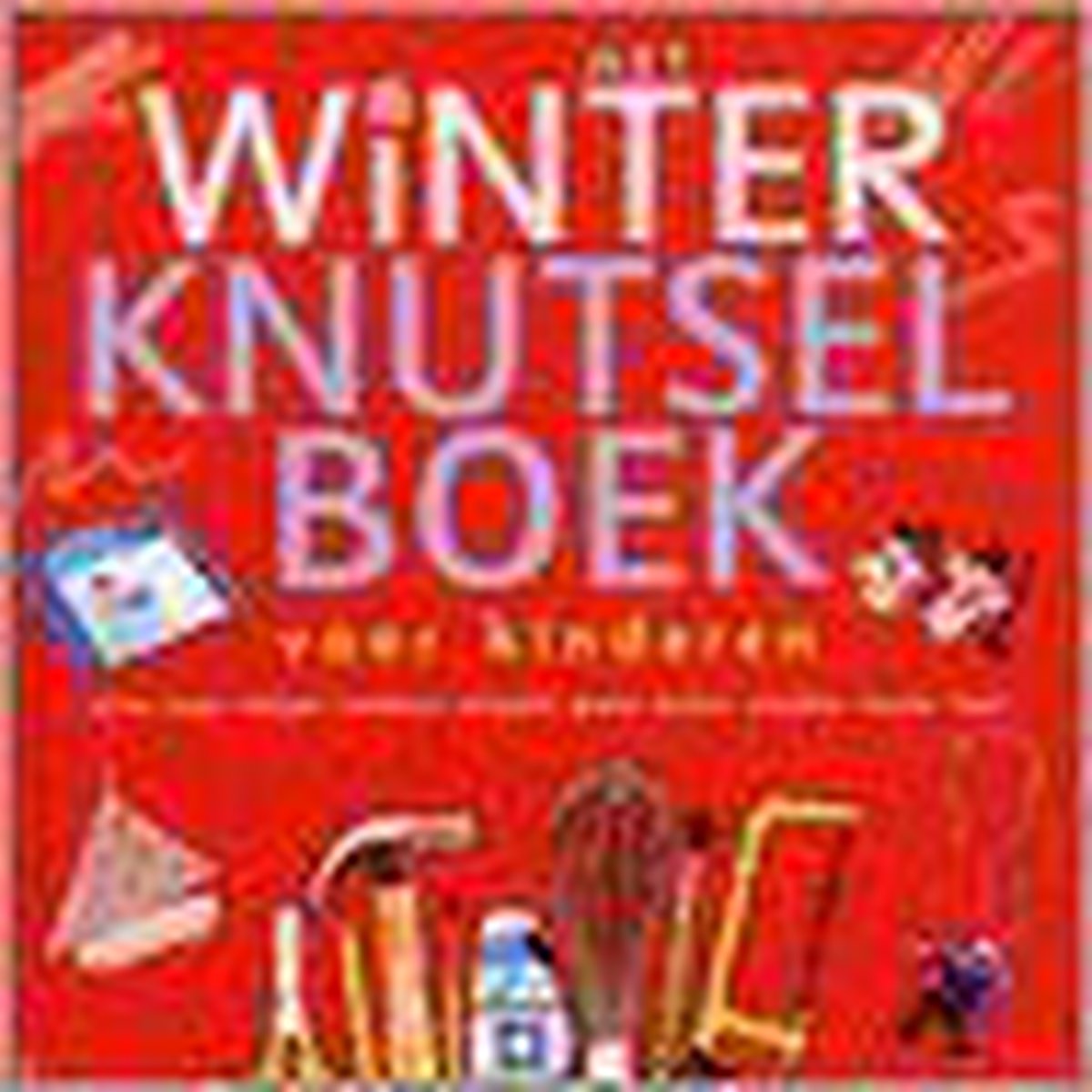 Het Winterknutselboek Voor Kinderen
