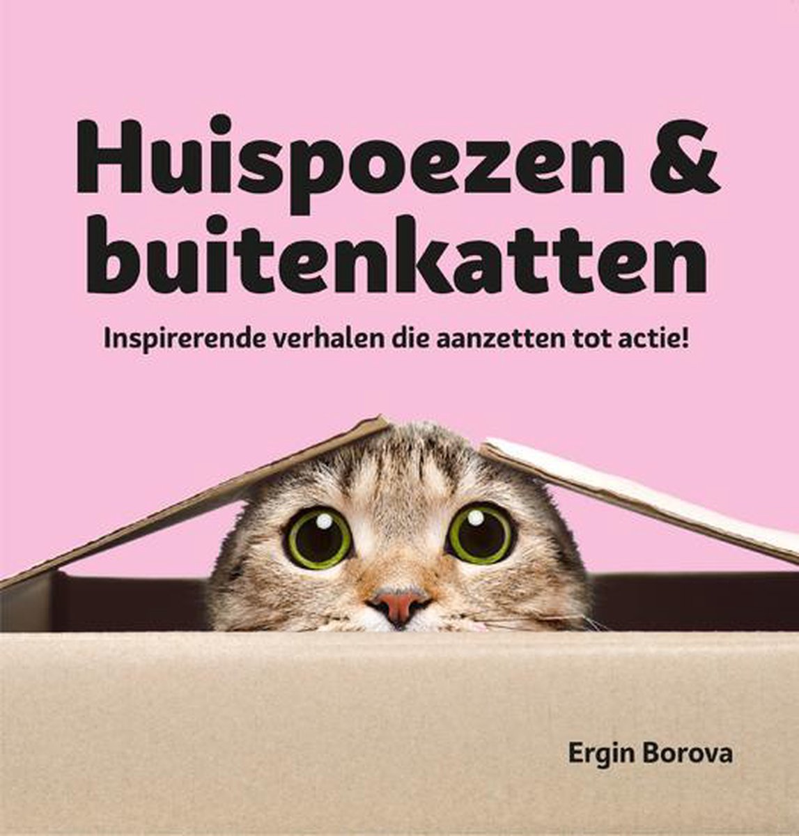 Huispoezen & buitenkatten