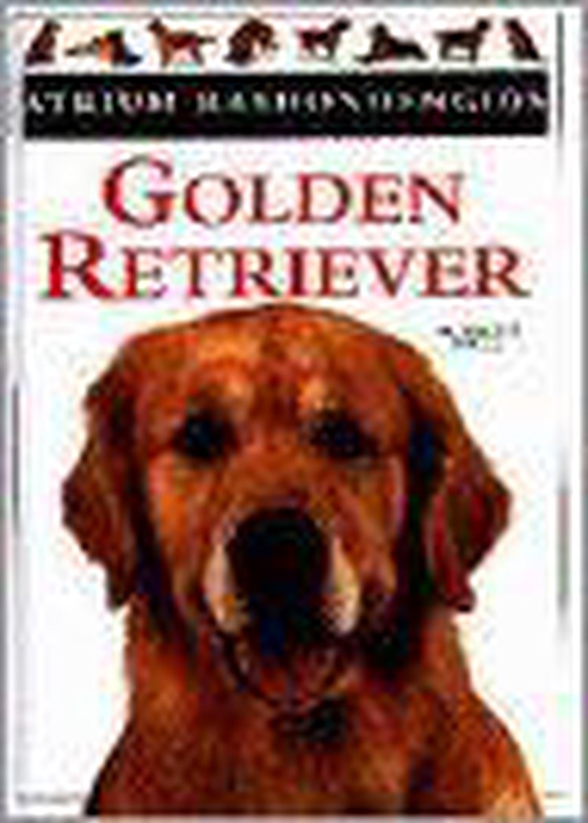 Golden retriever / Atrium rashondengids