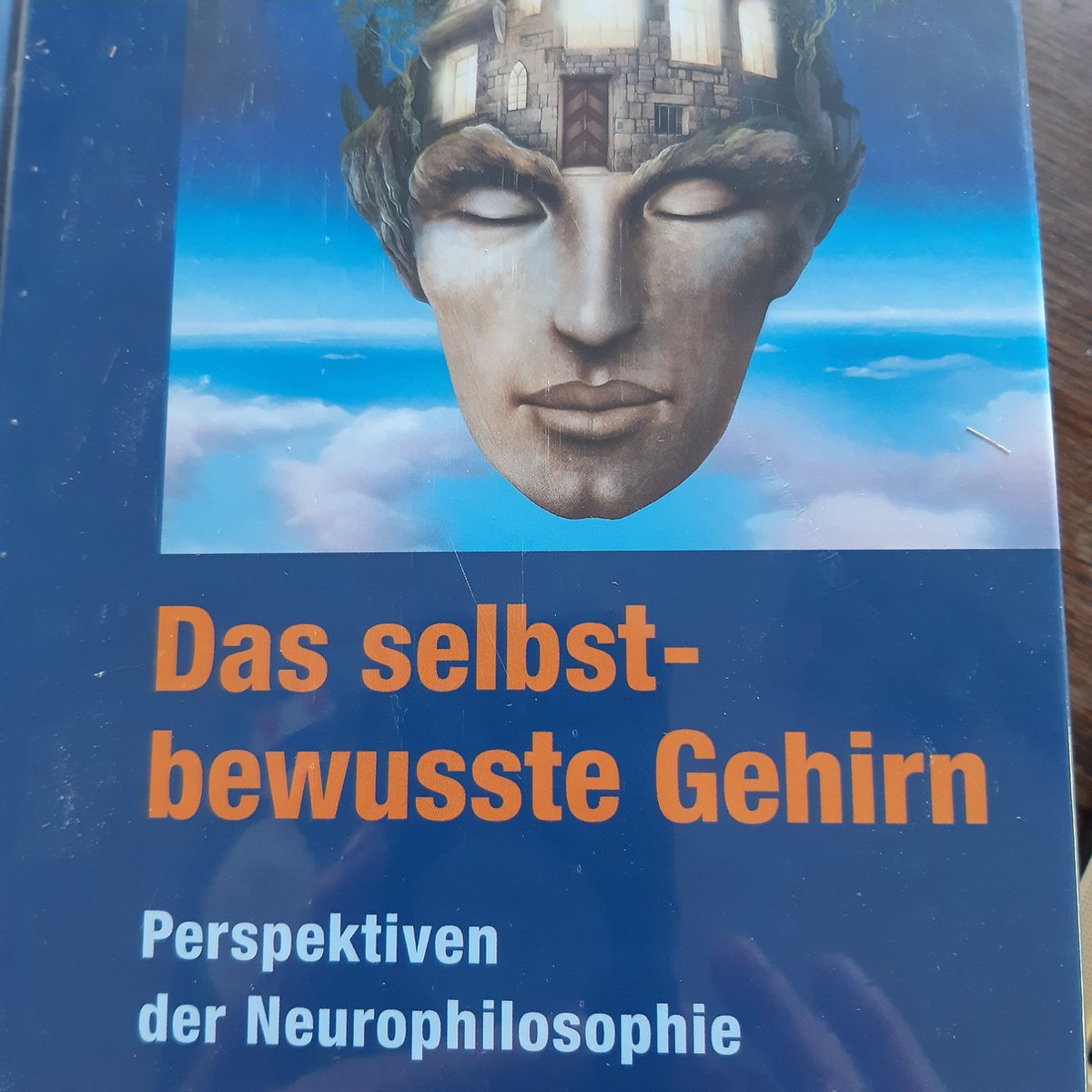 Das selbstbewusste Gehirn