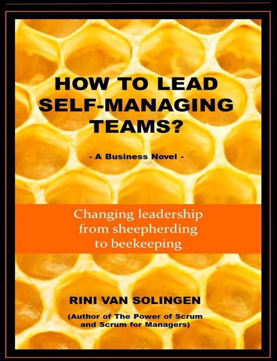 Rini van Solingen How To Lead Self-Managing Teams?