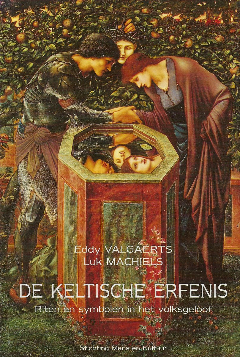 boekenbalie_9789072931351_cover De Keltische erfenis