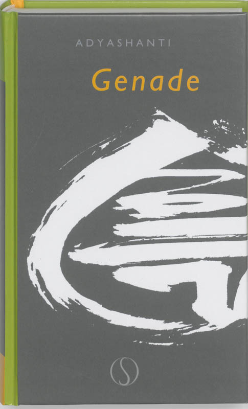 Adyashanti Genade thumbnail