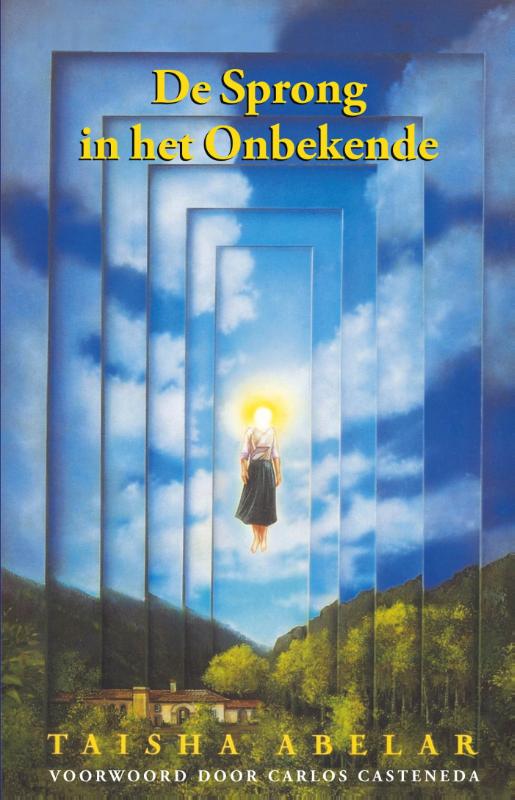 T. Abelar De Sprong In Het Onbekende thumbnail