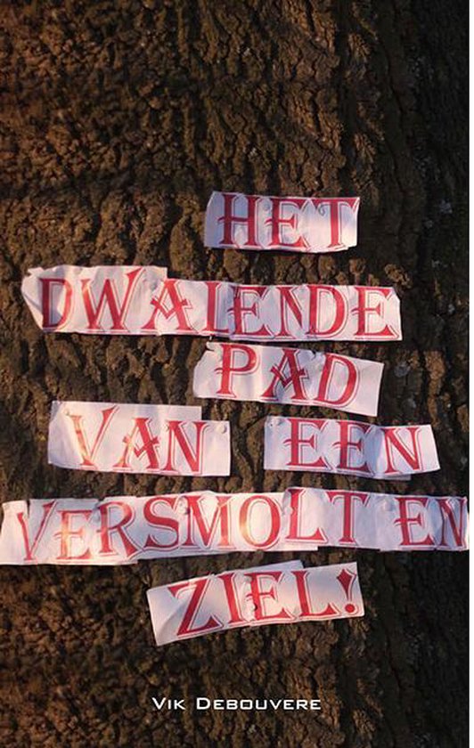 Vik Debouvere Het Dwalende Pad Van Een Versmolten Ziel