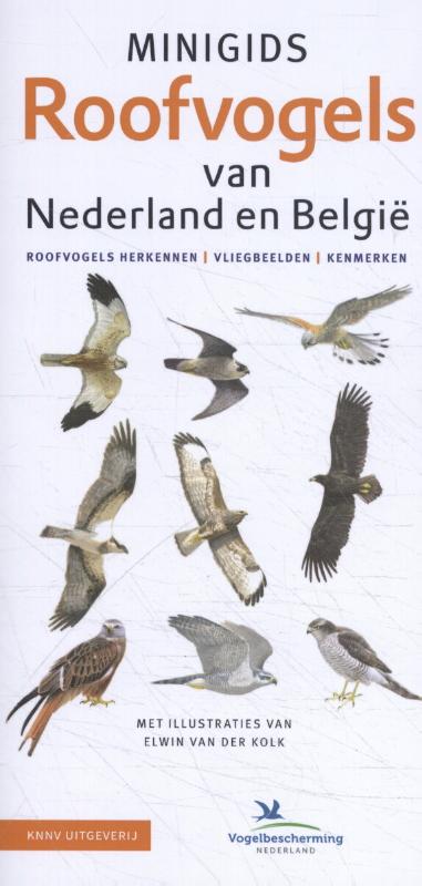 Minigids Roofvogels van Nederland en België / Minigids