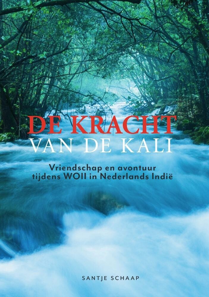De kracht van de Kali