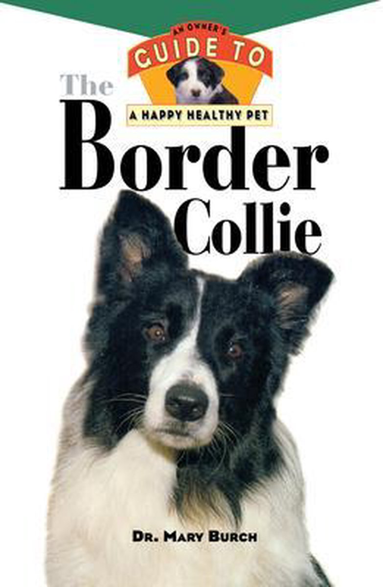 The Border Collie