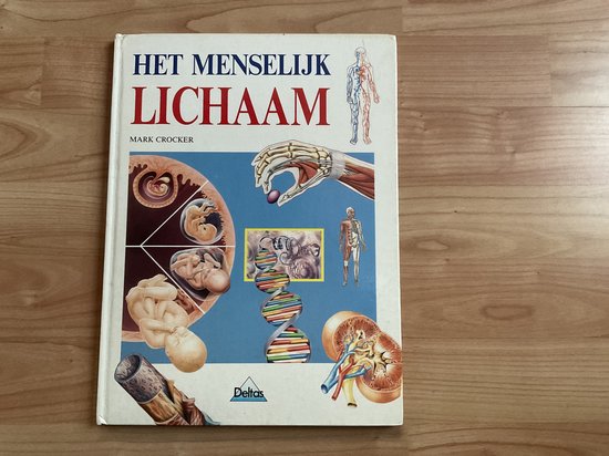 Menselijk lichaam