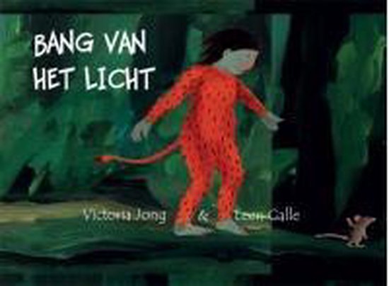 Bang van het licht