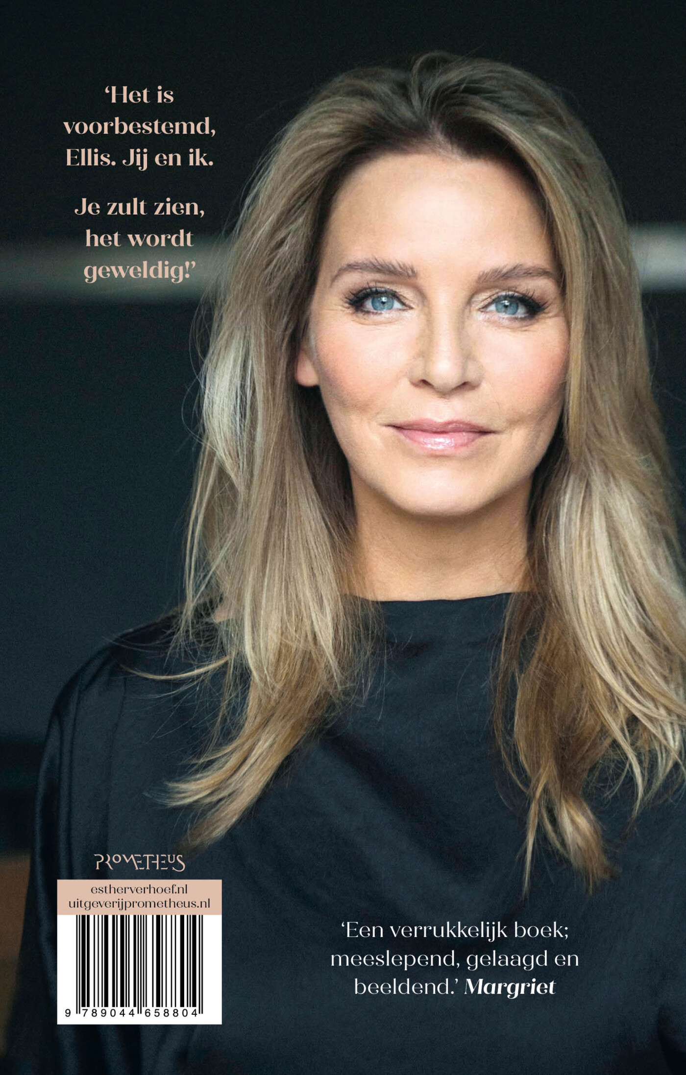 Het huis met de palm achterkant