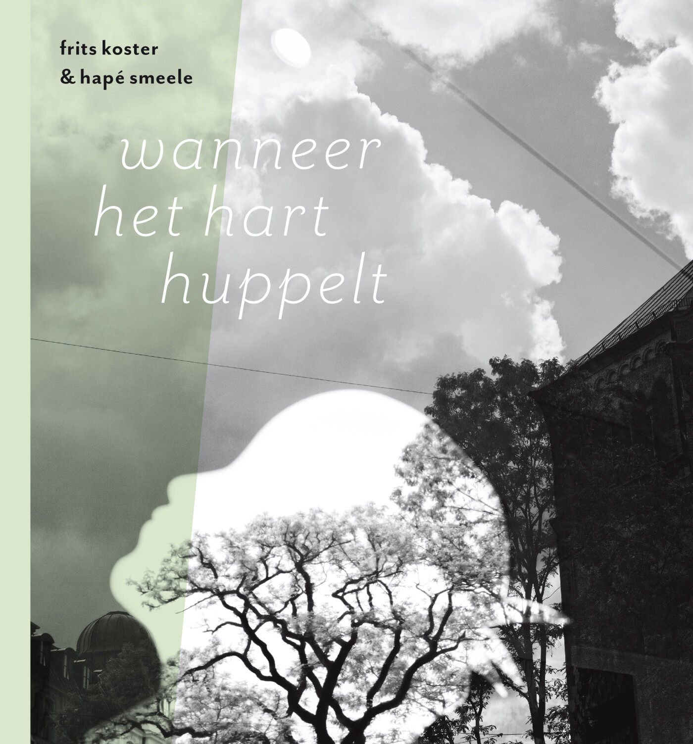 Wanneer het hart huppelt