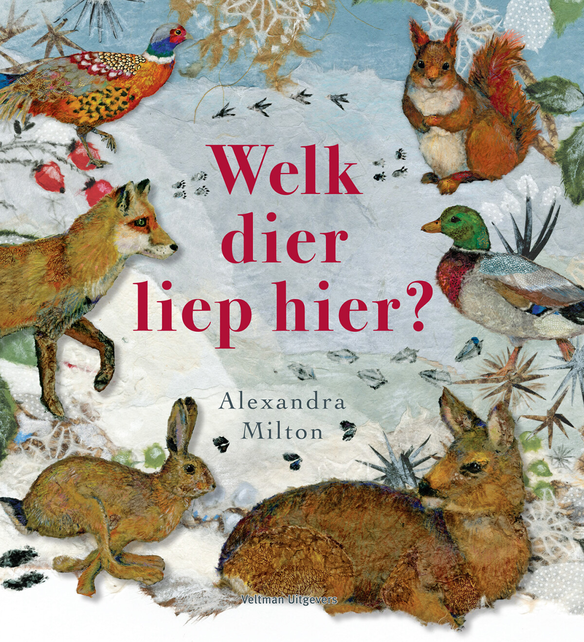 Welk dier liep hier?
