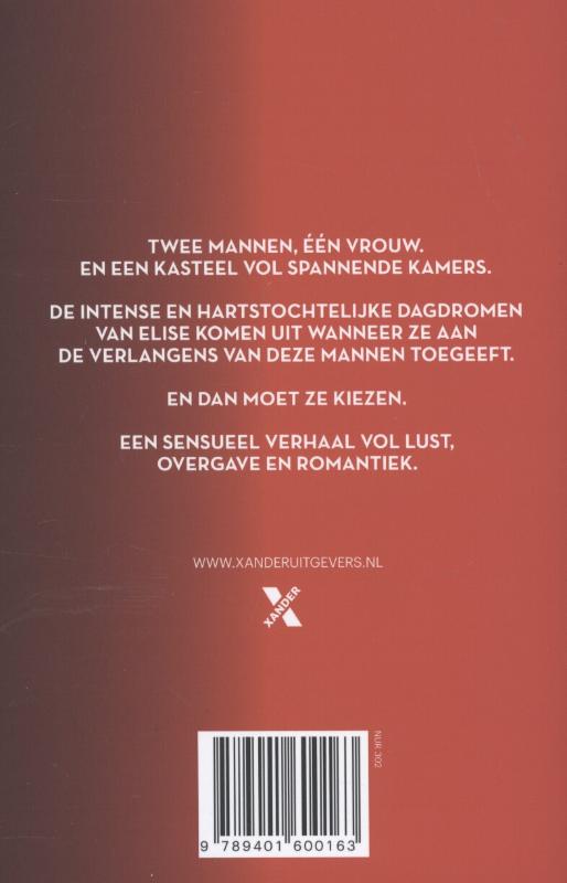 Negentig dromen van Elise Negentig dromen van Elise achterkant