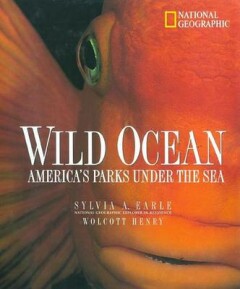 WILD OCEAN