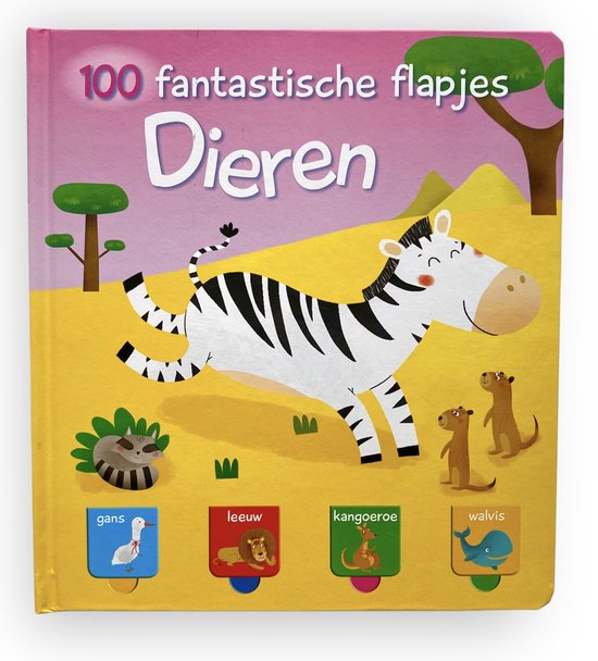 100 fantastische flapjes