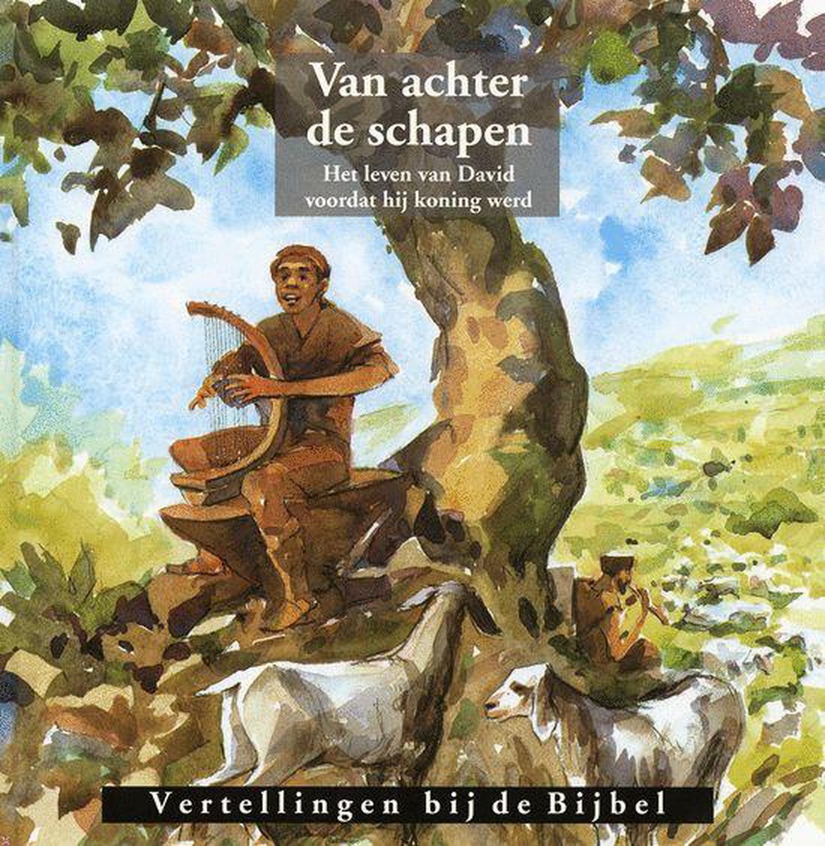 boekenbalie_9789033108228_cover VAN ACHTER DE SCHAPEN        VUDB