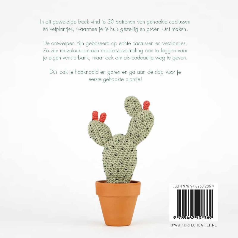 Cactussen haken achterkant