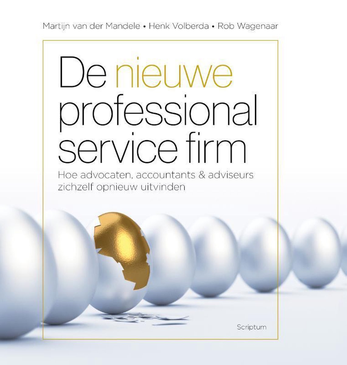 Martijn Van der Mandele De Nieuwe Professional Service Firm