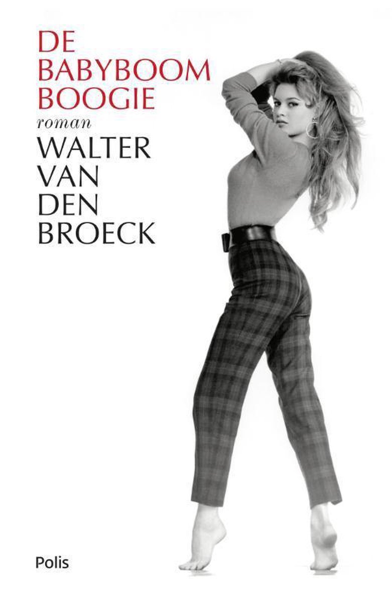 Walter van Broeck De Babyboomboogie thumbnail
