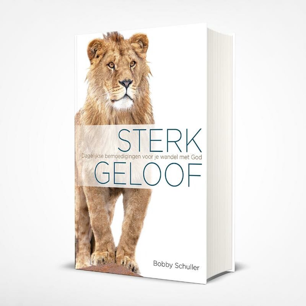 Bobby Schuller Sterk Geloof thumbnail