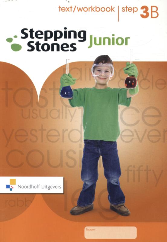 Stepping Stones Junior Step 3B Text/workbook