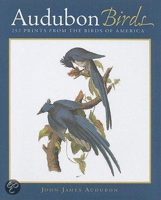 Audubon Birds