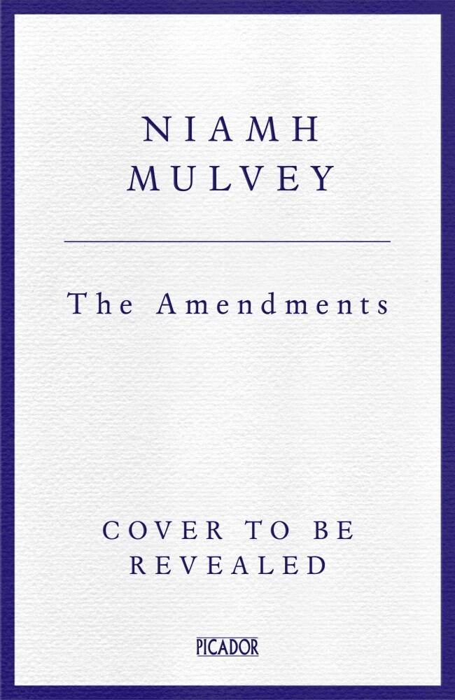 Niamh Mulvey The Amendments thumbnail