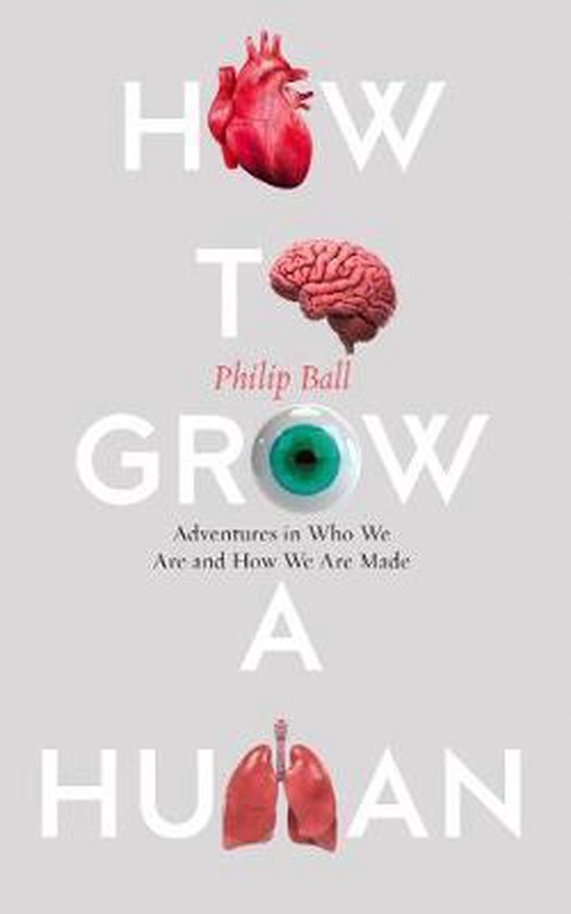 boekenbalie_9780008331771_cover How to Grow a Human