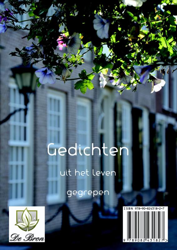 Door vele vensters achterkant