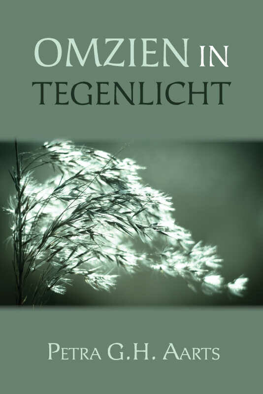 Omzien in tegenlicht