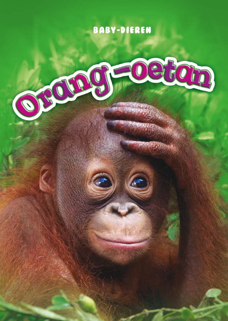 Orang-oetan / Baby-dieren